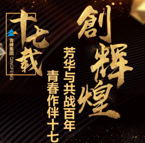 【最佳作品獎】青峰“十七歲花季”綻放歷程——青春作伴十七載，芳華與共戰(zhàn)百年