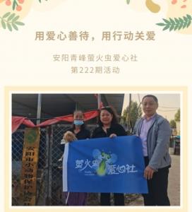 用愛心善待，用行動關(guān)愛--青峰創(chuàng)元集團(tuán)螢火蟲愛心活動第222期報道